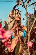 Foto Incontro Trans Pescara Chrystal Medeiros Pornostar - 38