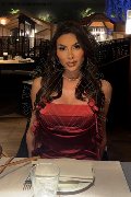 Foto Incontro Trans Verona Gabriela Lemos - 22