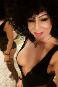 Gallarate Trans Daysy 339 33 89 602 foto selfie 14