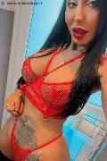 Gallarate Trans Thayys Castro 329 72 89 046 foto selfie 23