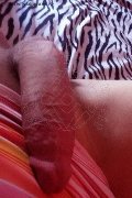 Isernia Trans Alessandra Dior 371 52 12 112 foto selfie 88