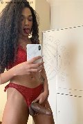 Legnano Trans Miele 331 78 08 280 foto selfie 97