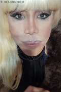 Milano Trans Nicole Vip Venturiny 353 35 38 868 foto selfie 236