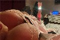 Napoli Trans Antonella Victoria 347 39 10 796 foto selfie 4