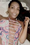 Bologna Trans Naomy Xl 329 01 67 932 foto selfie 28