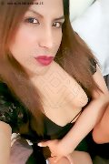 Marina Di Carrara Trans Stefany 333 11 10 156 foto selfie 4